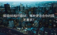 揉插BB和扦插BB：哪种更适合你的园艺需求？
