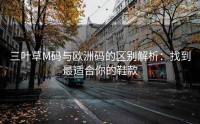 三叶草M码与欧洲码的区别解析：找到最适合你的鞋款