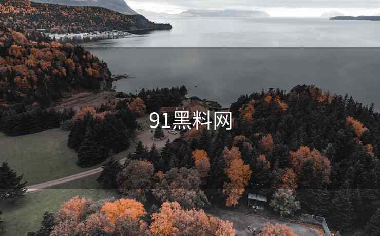 91黑料网