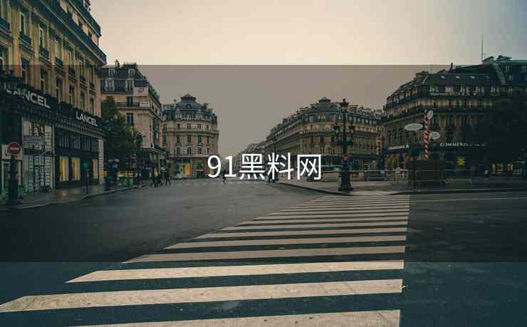 91黑料网