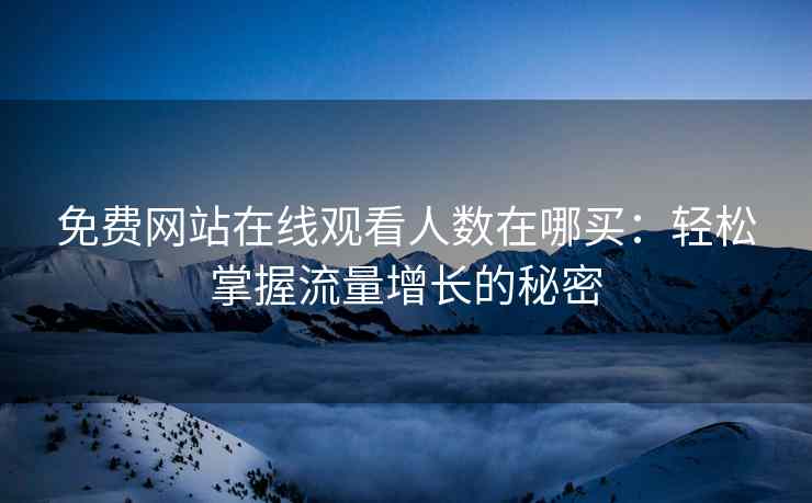 免费网站在线观看人数在哪买：轻松掌握流量增长的秘密