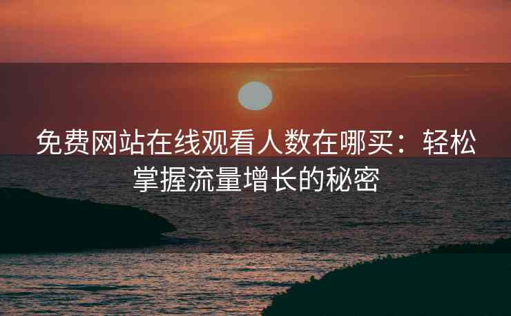 免费网站在线观看人数在哪买：轻松掌握流量增长的秘密