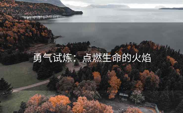 勇气试炼：点燃生命的火焰