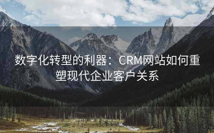 数字化转型的利器：CRM网站如何重塑现代企业客户关系
