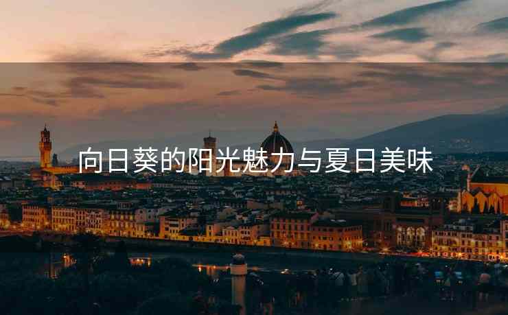 向日葵的阳光魅力与夏日美味
