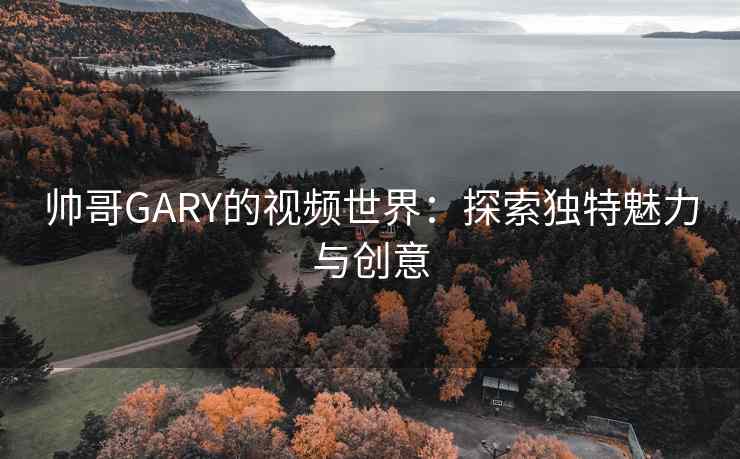 帅哥GARY的视频世界：探索独特魅力与创意