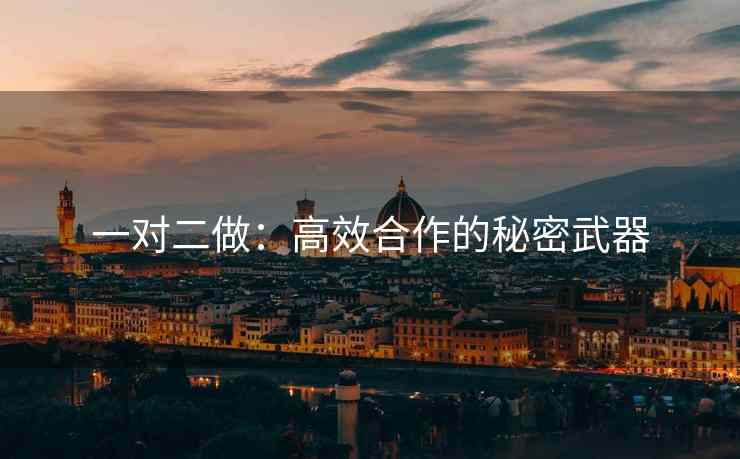 一对二做：高效合作的秘密武器