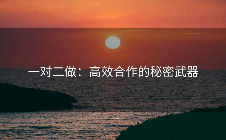 一对二做：高效合作的秘密武器