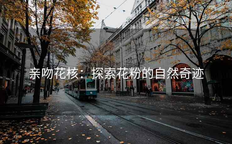 亲吻花核：探索花粉的自然奇迹