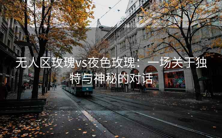 无人区玫瑰vs夜色玫瑰：一场关于独特与神秘的对话