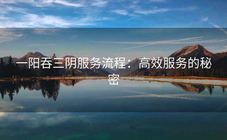 一阳吞三阴服务流程：高效服务的秘密