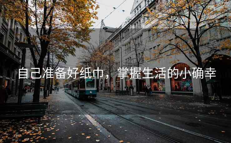 自己准备好纸巾，掌握生活的小确幸