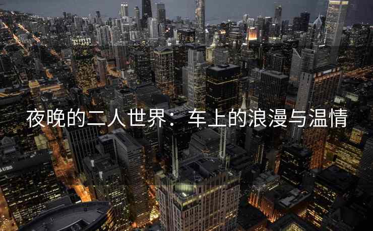 夜晚的二人世界：车上的浪漫与温情