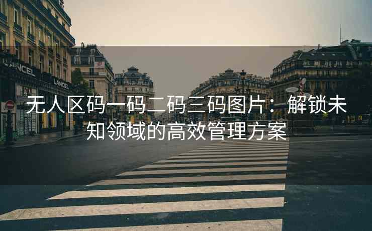 无人区码一码二码三码图片：解锁未知领域的高效管理方案