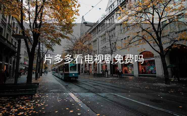 片多多看电视剧免费吗